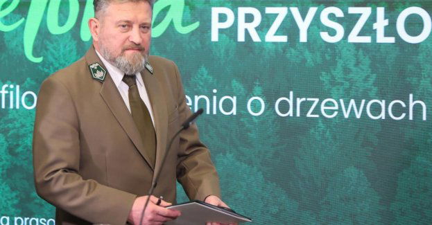 Lasy Państwowe negocjują z firmą FSC ws. certyfikatu o sposobie pozyskania drewna