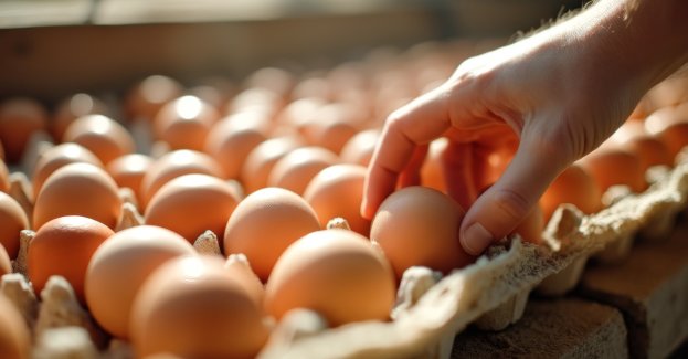 Polscy drobiarze apelują o zwiększenie kontroli jaj importowanych spoza UE