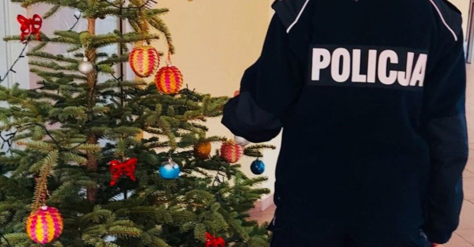 zdjęcie: Nielegalna choinka grozi mandatem i karą więzienia / fot. KPP w Tomaszowie Mazowieckim
