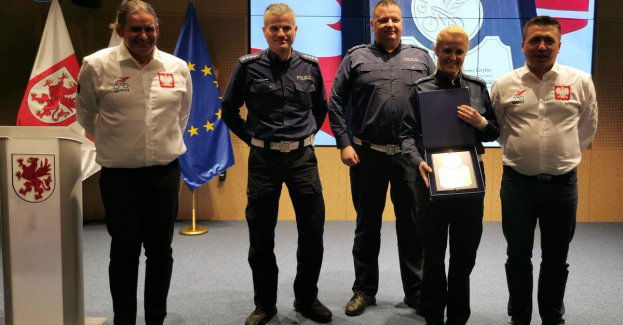 Ruch drogowy został przyjacielem Gryfusia