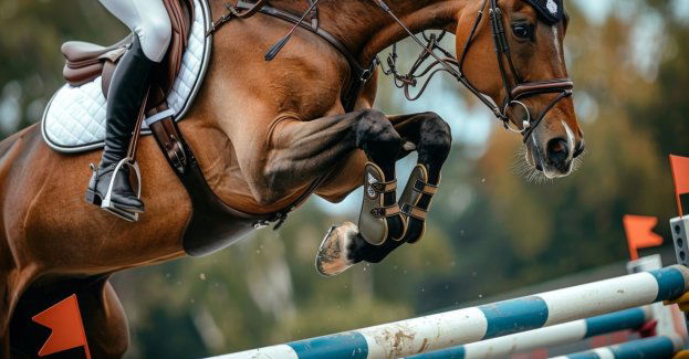 Jeździecka Cavaliada - Kaźmierczak czwarty w konkursie Dużej Rundy