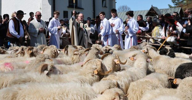 W Ludźmierzu zainaugurowano sezon pasterski; bacowie wyruszają na hale
