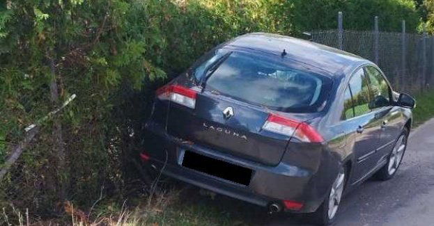 Jazda zakończona na płocie