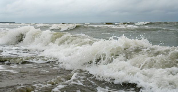 Czerwone flagi na kąpieliskach w Pomorskiem i Zachodniopomorskiem