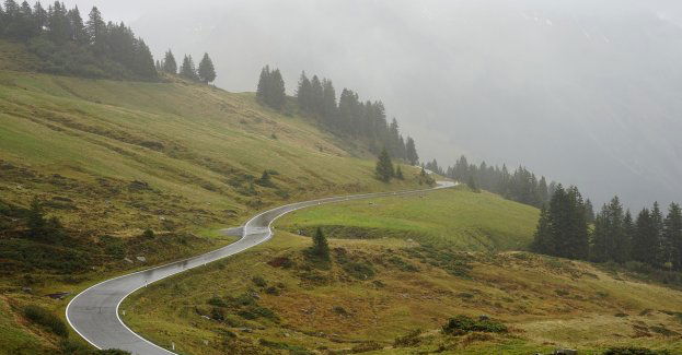 Turyści ukarani mandatem za wejście na pas graniczny