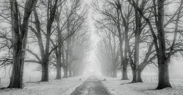Wszystkie drogi krajowe i wojewódzkie są przejezdne, lokalnie na jezdni może zlegać śnieg lub błoto pośniegowe
