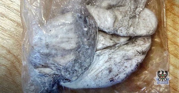 Wczoraj zatrzymane przez wałbrzyskich policjantów cztery osoby z narkotykami