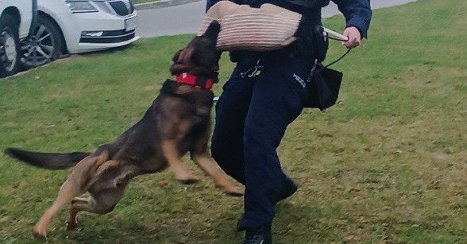 zdjęcie: Klasa mundurowa zwiedziła Komendę Powiatową w Pułtusku / fot. KPP w Pułtusku