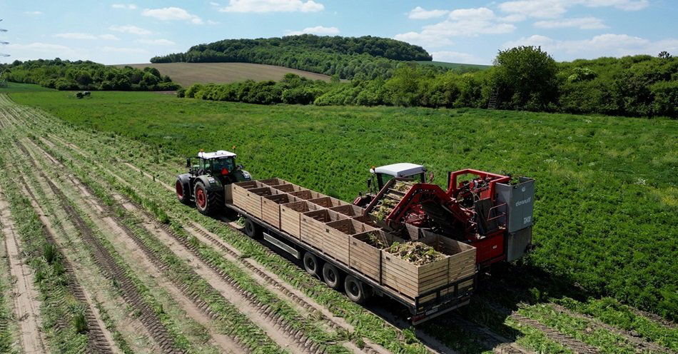 zdjęcie: AI i biotechnologia dla rolnictwa. Konkurs dla start-upów pokazał kierunki rozwoju sektora agritech / fot. Newseria/kadr z filmu