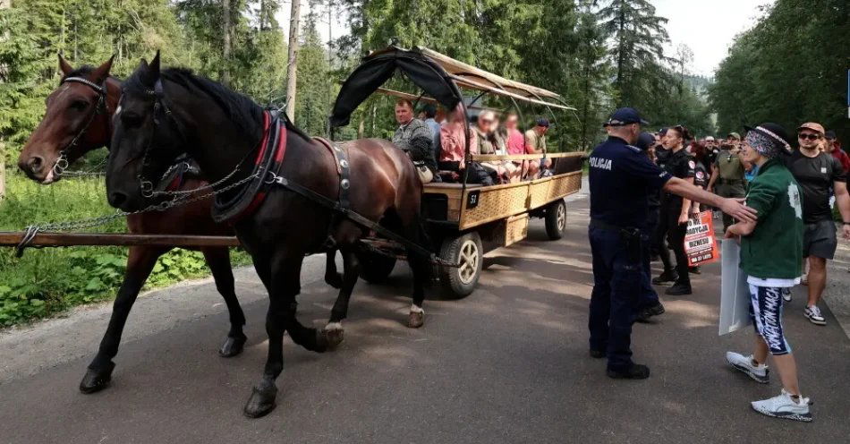 zdjęcie: Tatry: pikieta przeciw transportowi konnemu do Morskiego Oka; wozacy zarzucają aktywistom manipulacje / Palenica Białczańska, 08.08.2026. Policja i uczestnicy protestu, połączonego z akcją edukacyjną, pod hasłem „Nie jeżdżę fasiągiem - dla koni z Morskiego Oka”, 8 bm. na trasie z Palenicy Białczańskiej. Zorganizowany przez Dolnośląski Inspektorat Ochrony Zwierząt oraz ruch społeczny Dla Zwierząt, protest ma zainaugurować ogólnopolską kampanię społeczną nawołującą do rezygnacji z korzystania z transportu konnego na trasie do Morskiego Oka. (mr) PAP/Grzegorz Momot