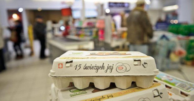 Wysoka jakość i krajowe pochodzenie to główne kryteria wyboru Polaków przy zakupie żywności