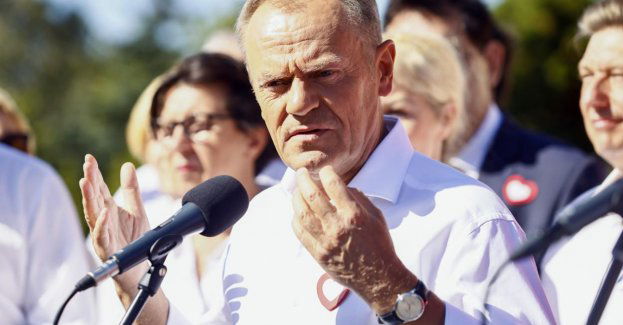 Nie ma żadnej logiki w działaniu prezydenta, premiera i prezesa PiS, jeśli chodzi o Ukrainę