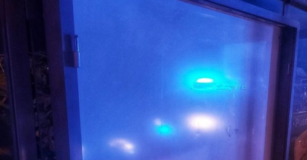 Nie podobał mu się rozkład jazdy autobusów