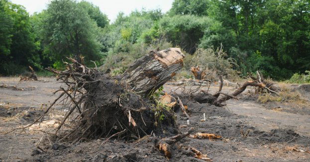 Ponad 200 interwencji straży pożarnej w związku z burzami i ulewami