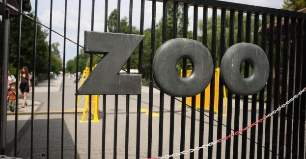 Do warszawskiego zoo przyjechała samica nosorożca indyjskiego