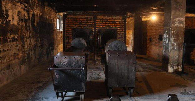 Muzeum Auschwitz organizuje pobyty studyjne dla polskich uczniów