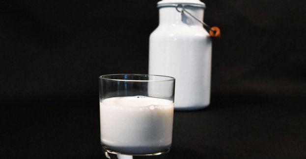 Naukowcy szukają chętnych, którzy razem z nimi opracują recepturę na produkt mleczny
