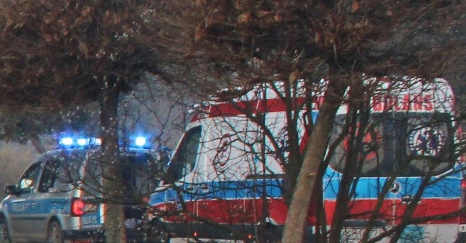 zdjęcie: Dziewięciolatka uratowała dziadka dzwoniąc po pomoc / fot. KMP w Oświęcimiu