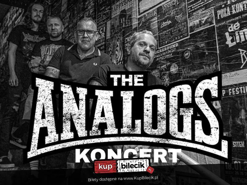 zdjęcie: Koncert zespołu THE ANALOGS / kupbilecik24.pl / Koncert zespołu THE ANALOGS