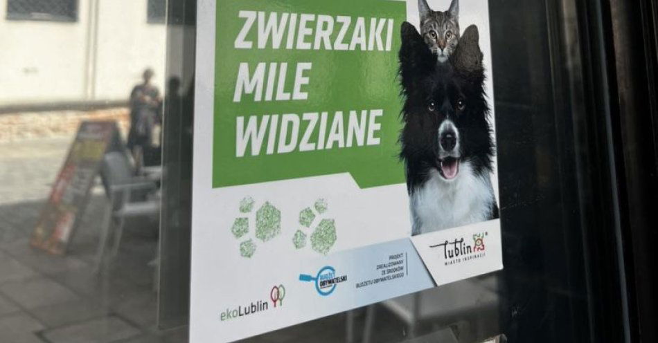 zdjęcie: W Lublinie Zwierzaki mile widziane / fot. nadesłane