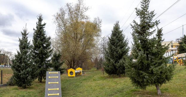 Uwaga właściciele czworonogów: przerwa w działaniu psich parków
