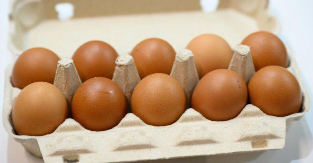 Z powodu ogniska grypy ptaków grozi niedobór jaj