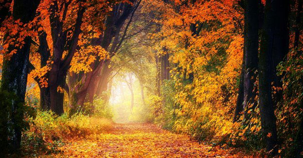 Osoby, które wybierają się w rejon nekropolii, prosimy o stosowanie się do alertów