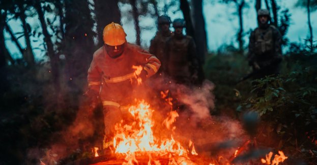 Powstaje pierwsza w województwie grupa strażaków OSP do odcinania ognia w lasach