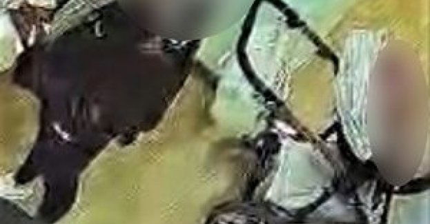 Skradziony towar chowała do dziecięcego wózka