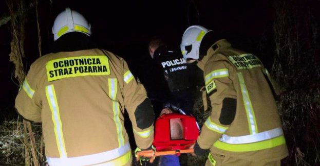 Szczekanie psa uratowało życie w lasach pod Skierniewicami