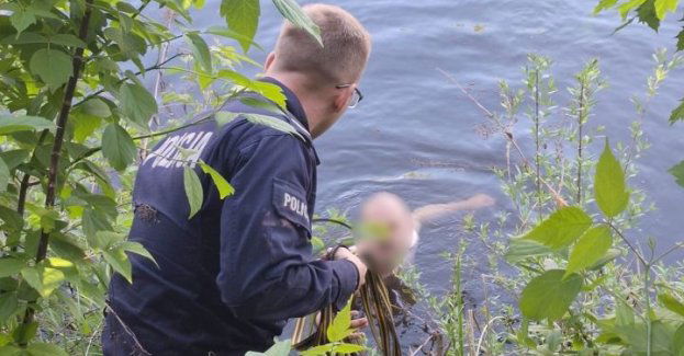 Bez ubrań biegał po ulicy i wskoczył do kanału