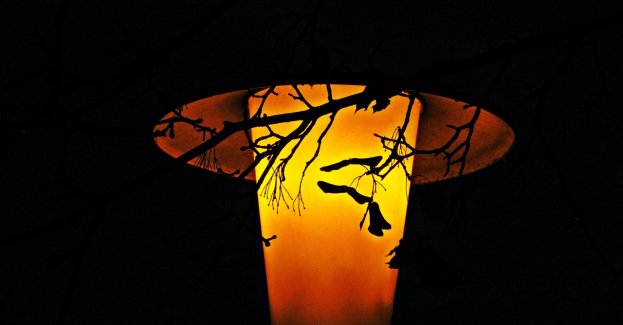 Ponad 10 mln zł dotacji dla regionu kaliskiego na wymianę oświetlenia drogowego na energooszczędne