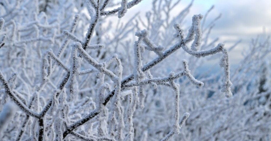 zdjęcie: Małopolskie: po opadach śniegu prawie 30 tys. odbiorców nie ma prądu / Zieleniec, 23.11.2025. Zima w Zieleńcu w Górach Orlickich, leżących w paśmie Sudetów Środkowych, 23 bm. (mk/amb) PAP/Maciej Kulczyński