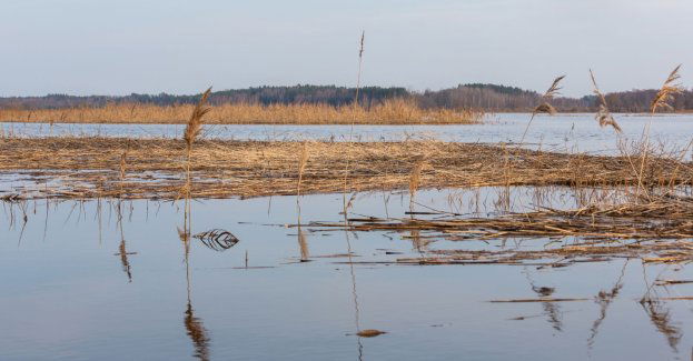Po 10 lutego - warianty ochrony przeciwpowodziowej zlewni Nysy Kłodzkiej