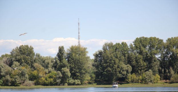 Dwa lata po katastrofie ekologicznej w Odrze wzmożony monitoring stanu wody w rzece