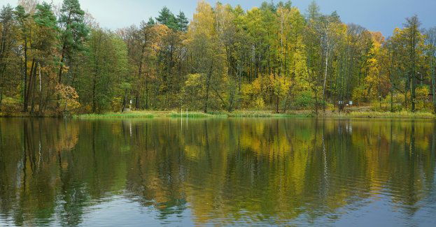 Mężczyzna utonął w zbiorniku wodnym w miejscowości Spławie