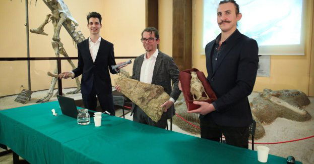 Ponad 100 skamieniałości w skali tygodnia, m.in. zęby rekinów - odkrycia paleontologów w Miedarach