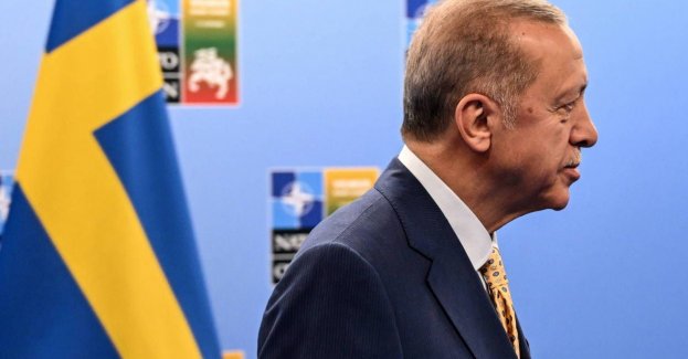 Komisja Spraw Zagranicznych parlamentu Turcji poparła przyjęcie Szwecji do NATO