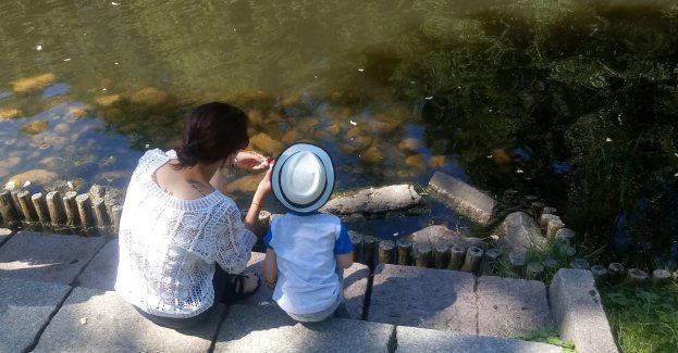 „Sąd nad dzieckiem” - Franio chce do Mamy