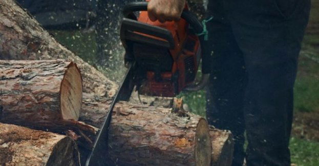 56-latka zginęła w wypadku przy cięciu drewna