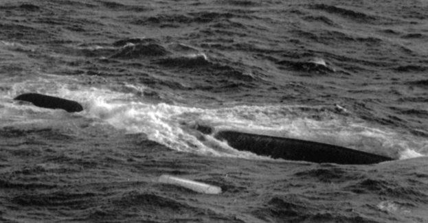 13 stycznia 1993 – ostatni rejs promu „Jan Heweliusz”. 5 listopada premiera serialu inspirowanego najtragiczniejszą katastrofą morską w powojennej Pol