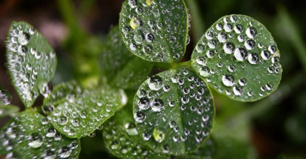 Szanse na zdanie matury są większe, niż na jej znalezienie