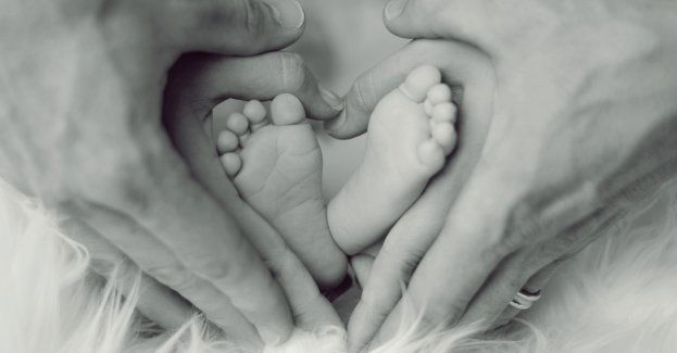 Holenderskie małżeństwo, ścigane ENA, będzie walczyć o azyl w Polsce