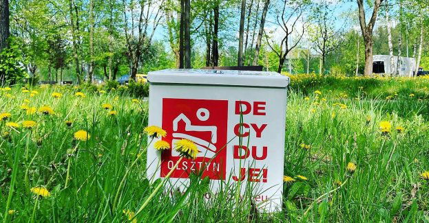 Prawie wszystko o głosowaniu