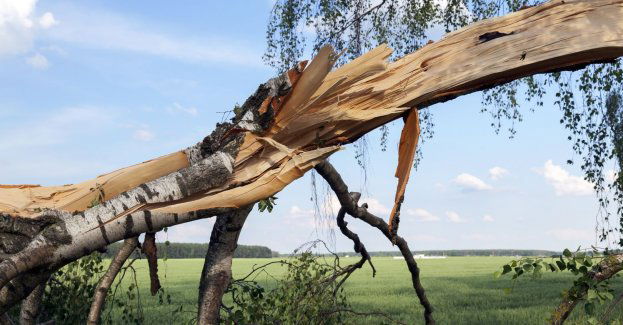 Ponad 250 interwencji straży pożarnej związanych z pogodą
