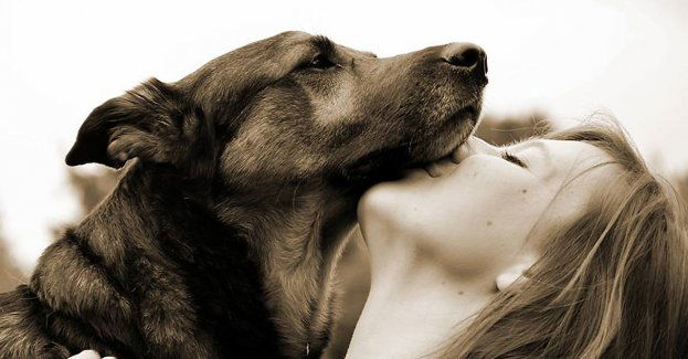 Pies to nie tylko przyjaciel człowieka, ale również obowiązek