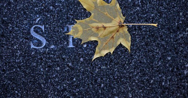 Prezes Fundacji Hospicyjnej: rozmowa o śmierci jest też rozmową o życiu