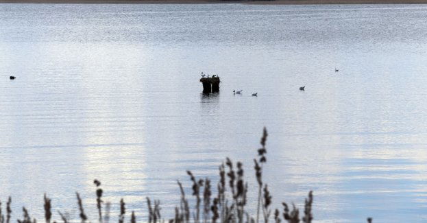 Zwłoki w walizce dryfującej w rzeczce w Ustce to 42-letni zaginiony