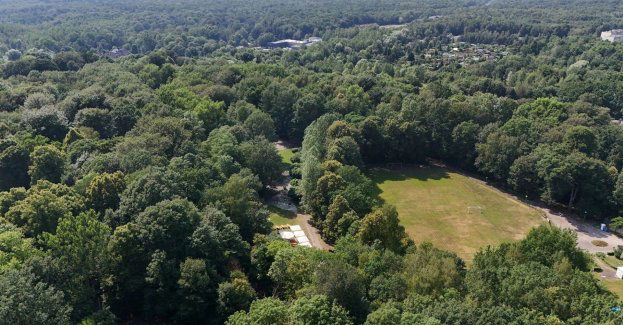 Park Murckowski przejdzie metamorfozę