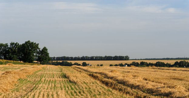 Walka i męczeństwo to dwa ważne wymiary losów polskiej wsi